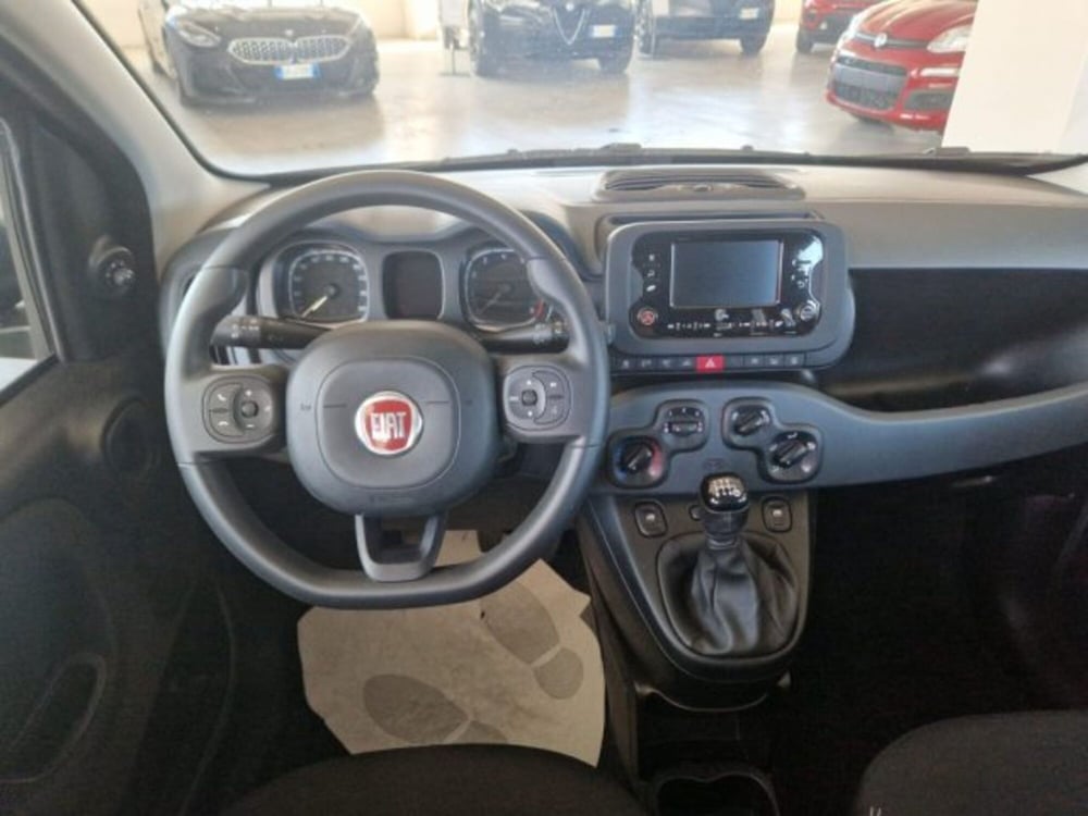 Fiat Panda usata a Terni (12)