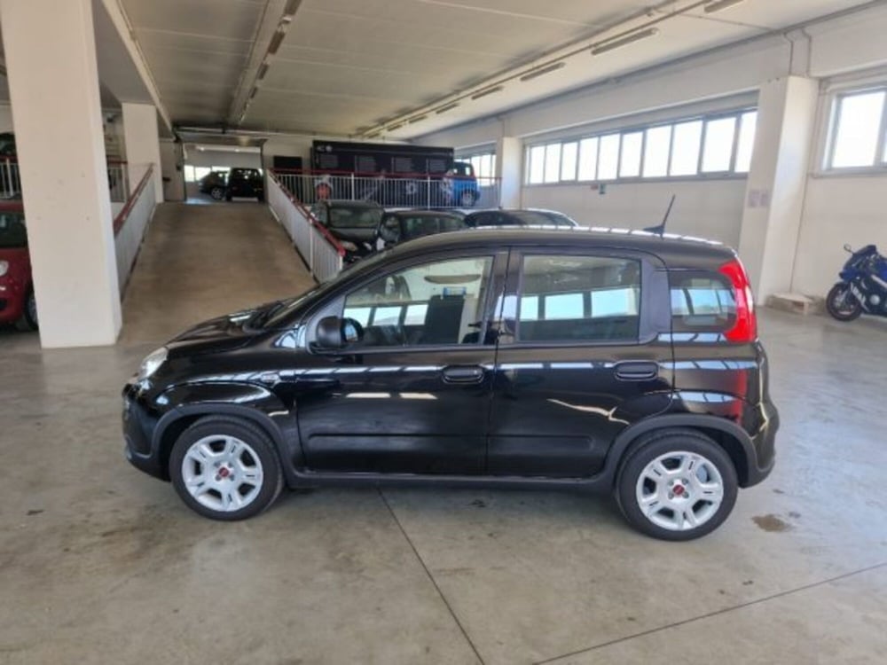 Fiat Panda usata a Terni (4)