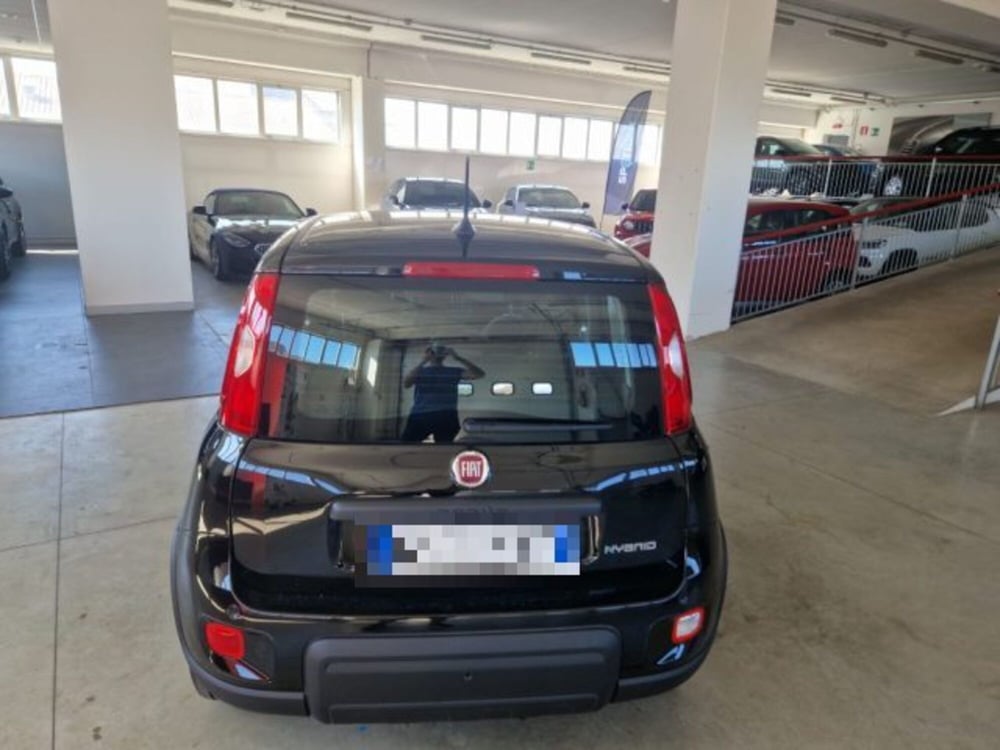 Fiat Panda usata a Terni (5)