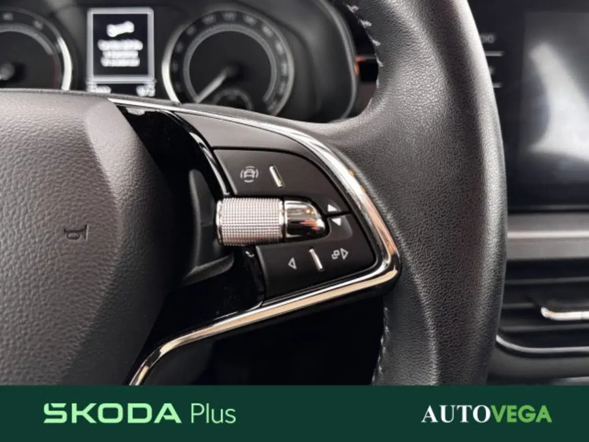 Skoda Kamiq usata a Vicenza (19)