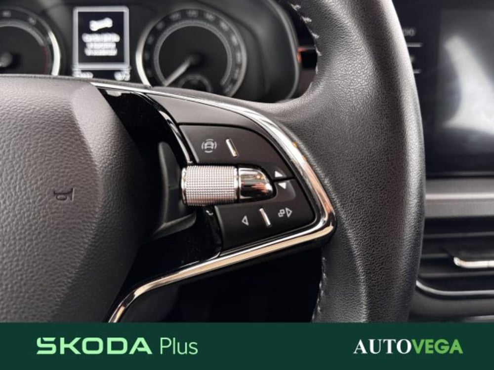 Skoda Kamiq usata a Vicenza (19)