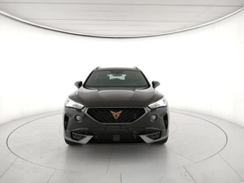 Cupra Formentor usata a Vicenza (12)