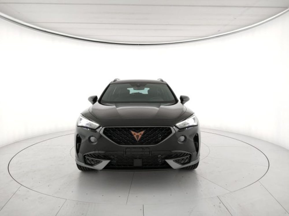 Cupra Formentor usata a Vicenza (12)