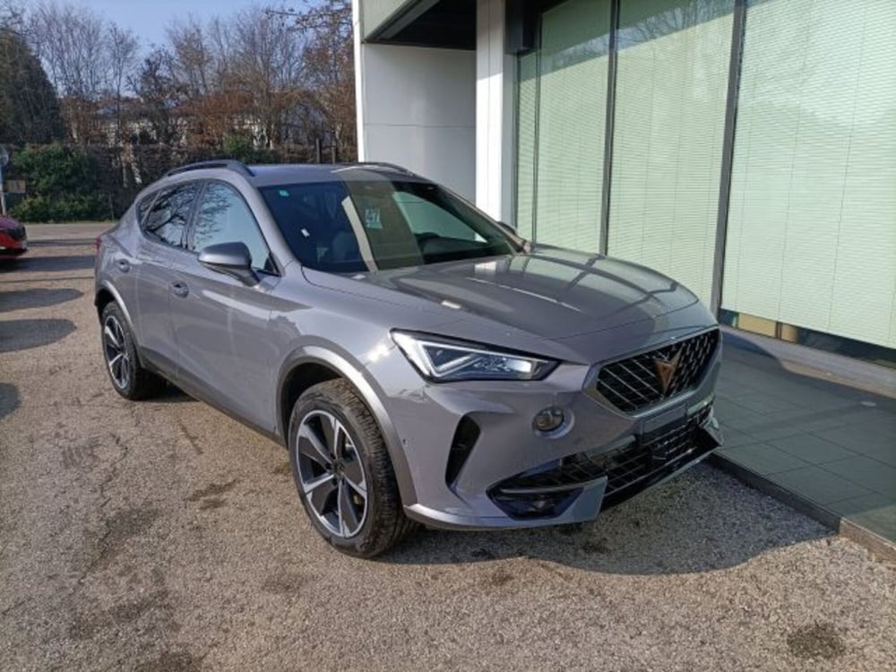 Cupra Formentor usata a Vicenza (11)