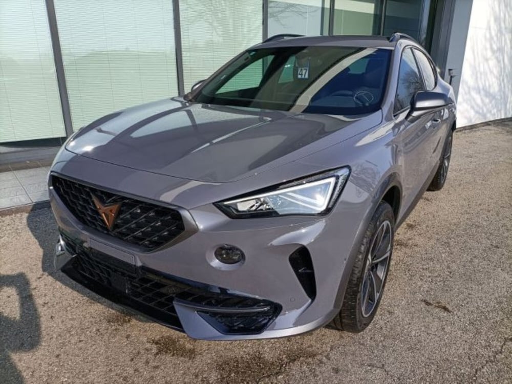 Cupra Formentor usata a Vicenza (4)