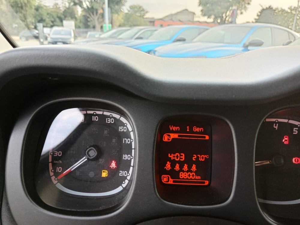 Fiat Panda Cross usata a Alessandria (19)