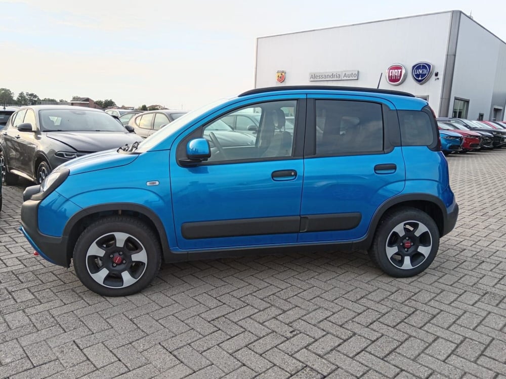 Fiat Panda Cross usata a Alessandria (9)