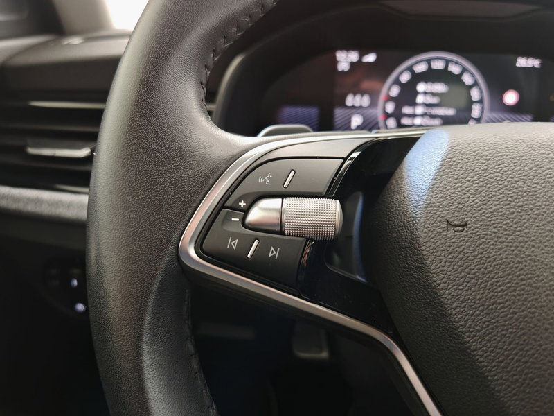 Skoda Kamiq usata a Palermo (10)