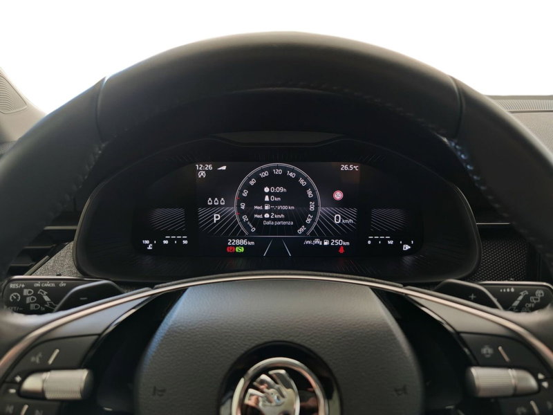 Skoda Kamiq usata a Palermo (9)