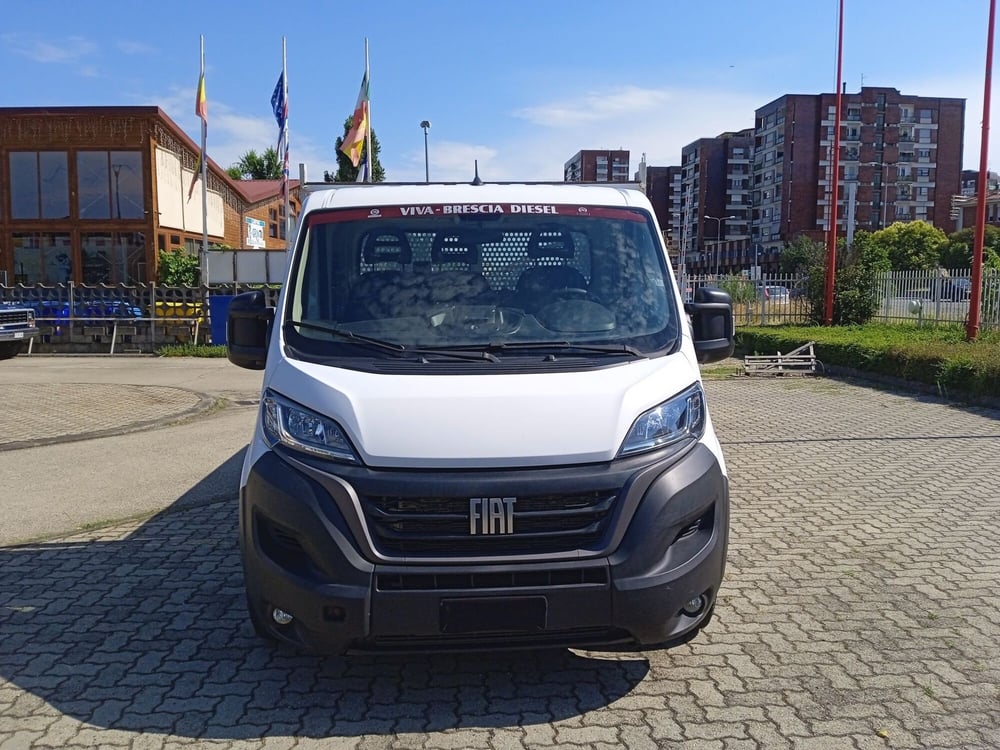 Fiat Ducato usata a Torino (2)