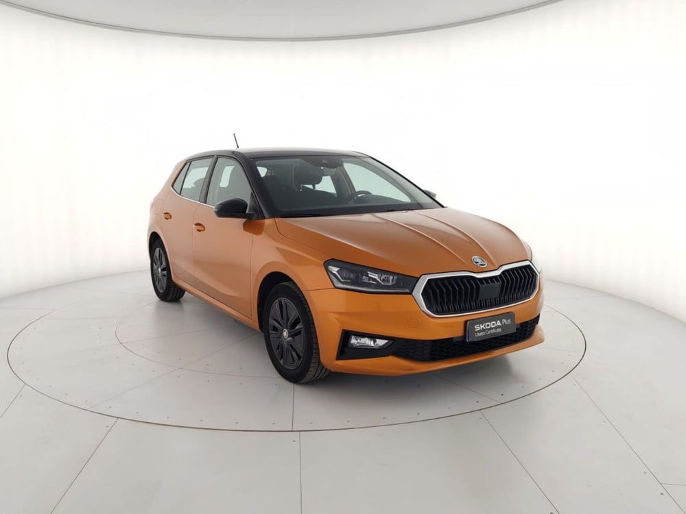 Skoda Fabia usata a Massa-Carrara (4)