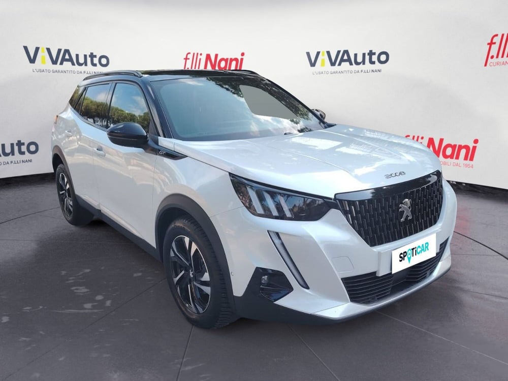 Peugeot 2008 usata a Massa-Carrara (17)