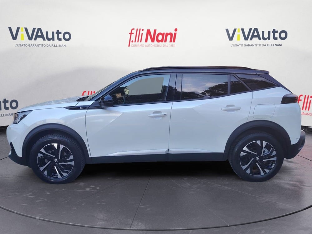 Peugeot 2008 usata a Massa-Carrara (7)