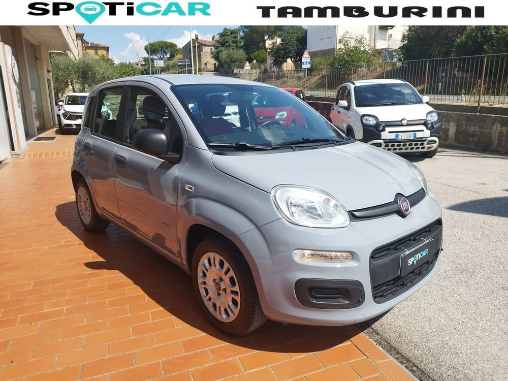 Fiat Panda usata a Arezzo