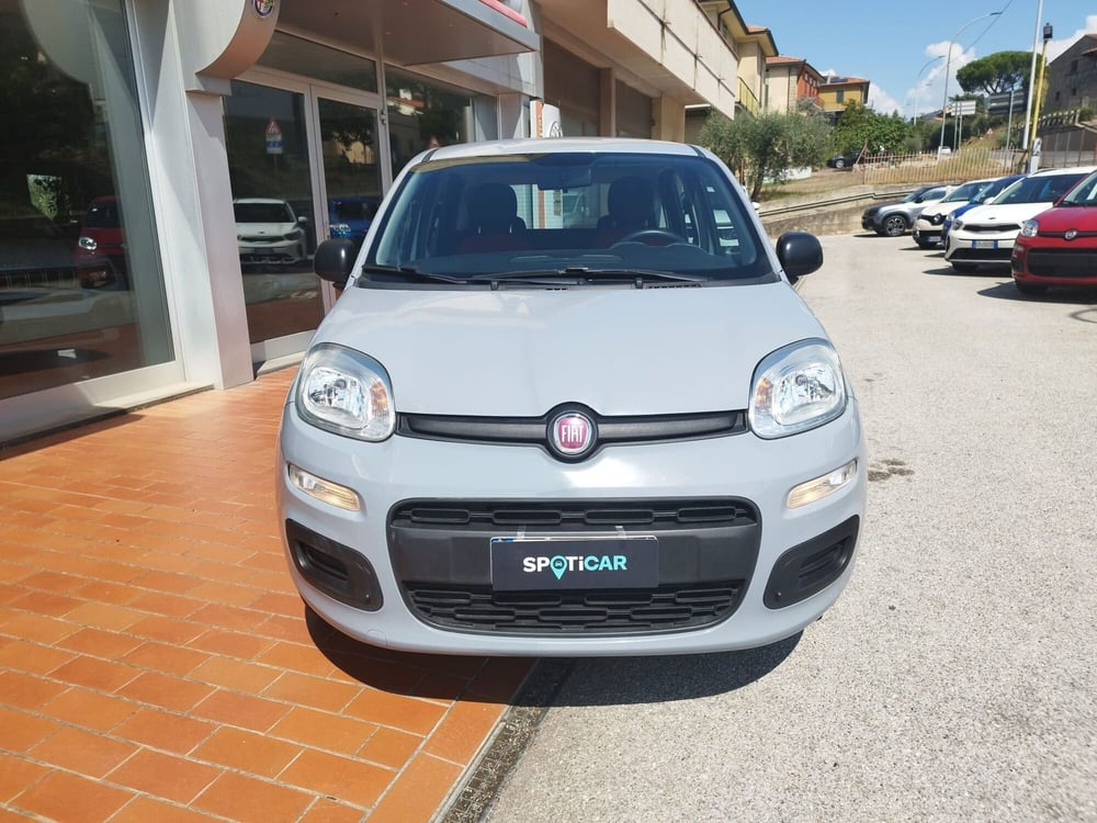 Fiat Panda usata a Arezzo (2)