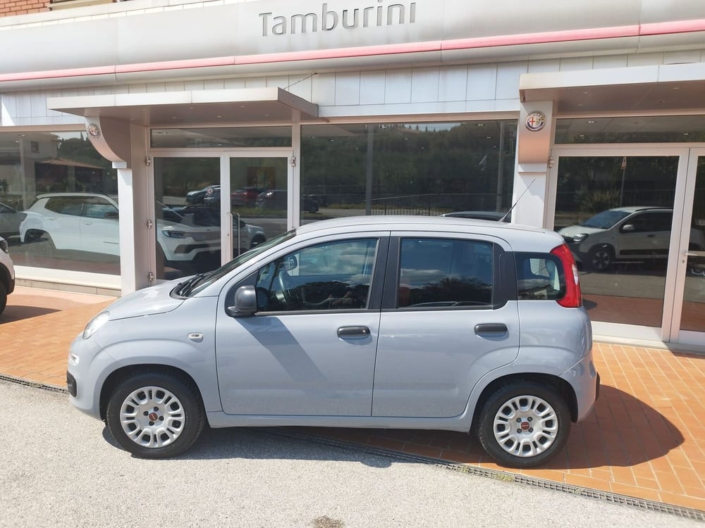 Fiat Panda usata a Arezzo (4)