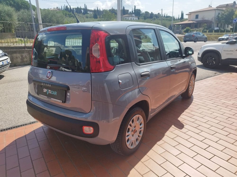 Fiat Panda usata a Arezzo (5)