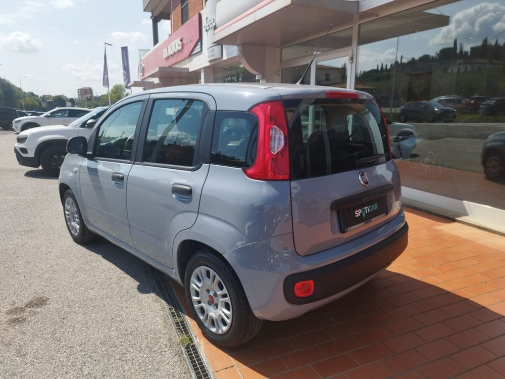 Fiat Panda usata a Arezzo (6)