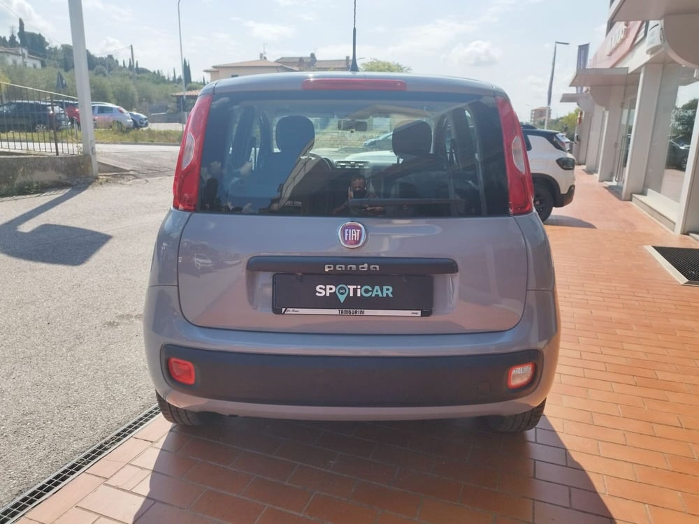 Fiat Panda usata a Arezzo (7)