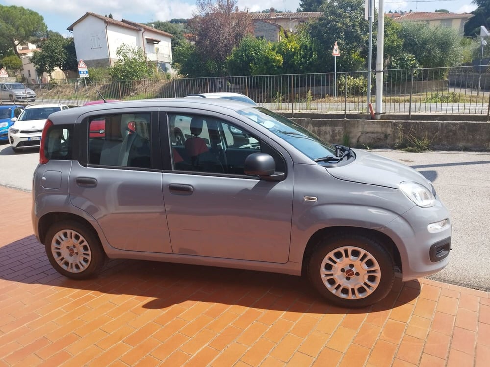 Fiat Panda usata a Arezzo (8)