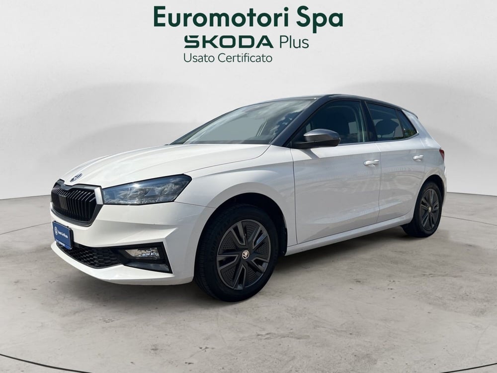 Skoda Fabia usata a Grosseto