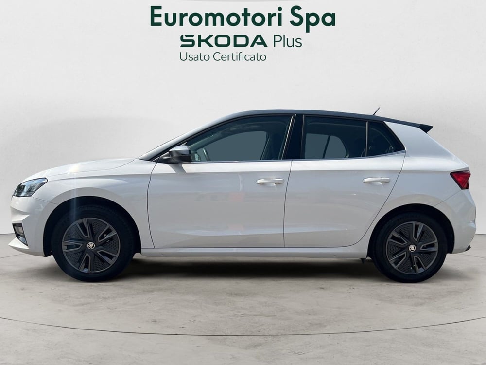 Skoda Fabia usata a Grosseto (2)