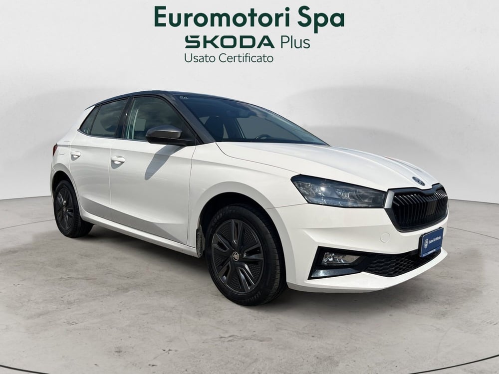 Skoda Fabia usata a Grosseto (7)