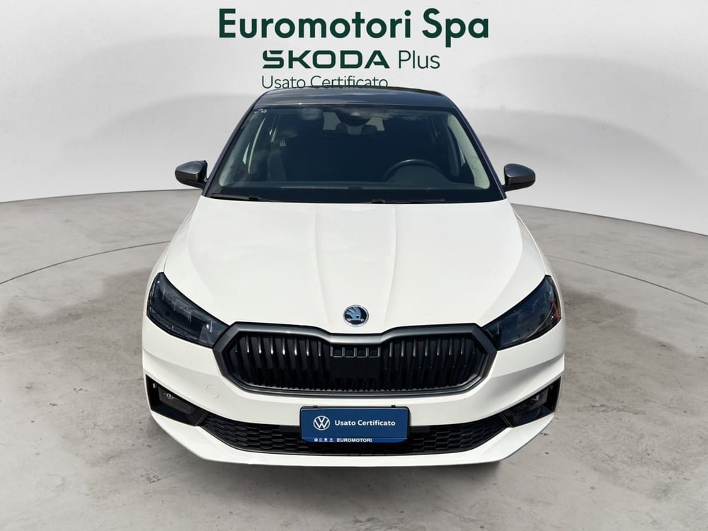 Skoda Fabia usata a Grosseto (8)