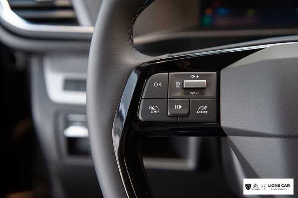 Citroen Spacetourer usata a Lodi (16)