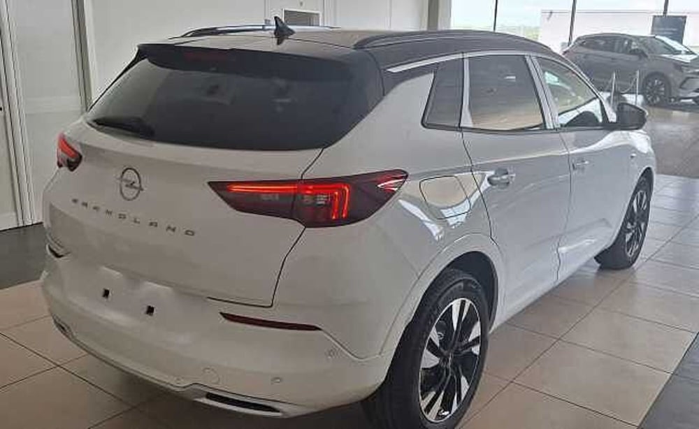 Opel Grandland nuova a Firenze (7)