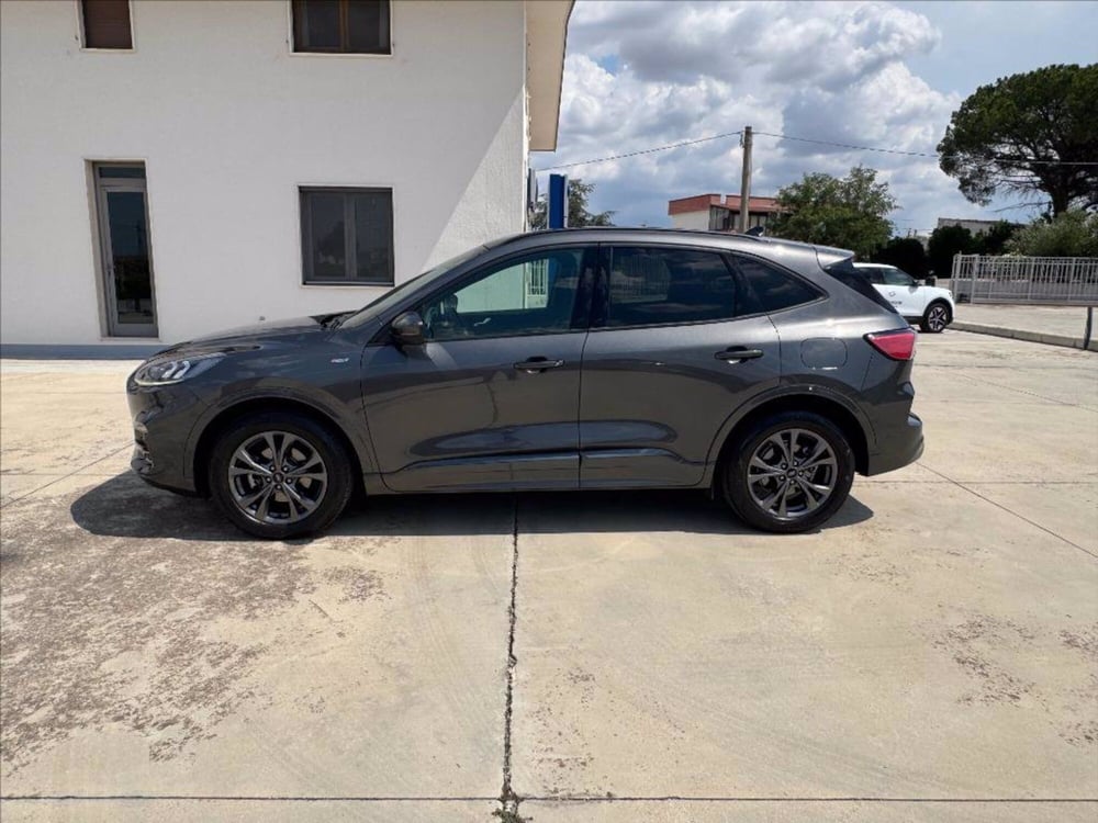 Ford Kuga usata a Matera (6)