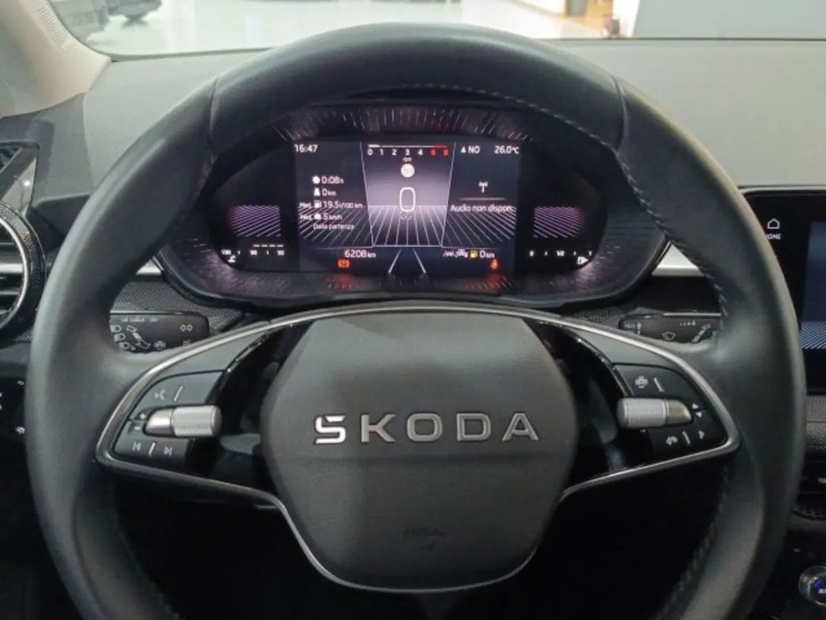Skoda Fabia usata a Catania (18)