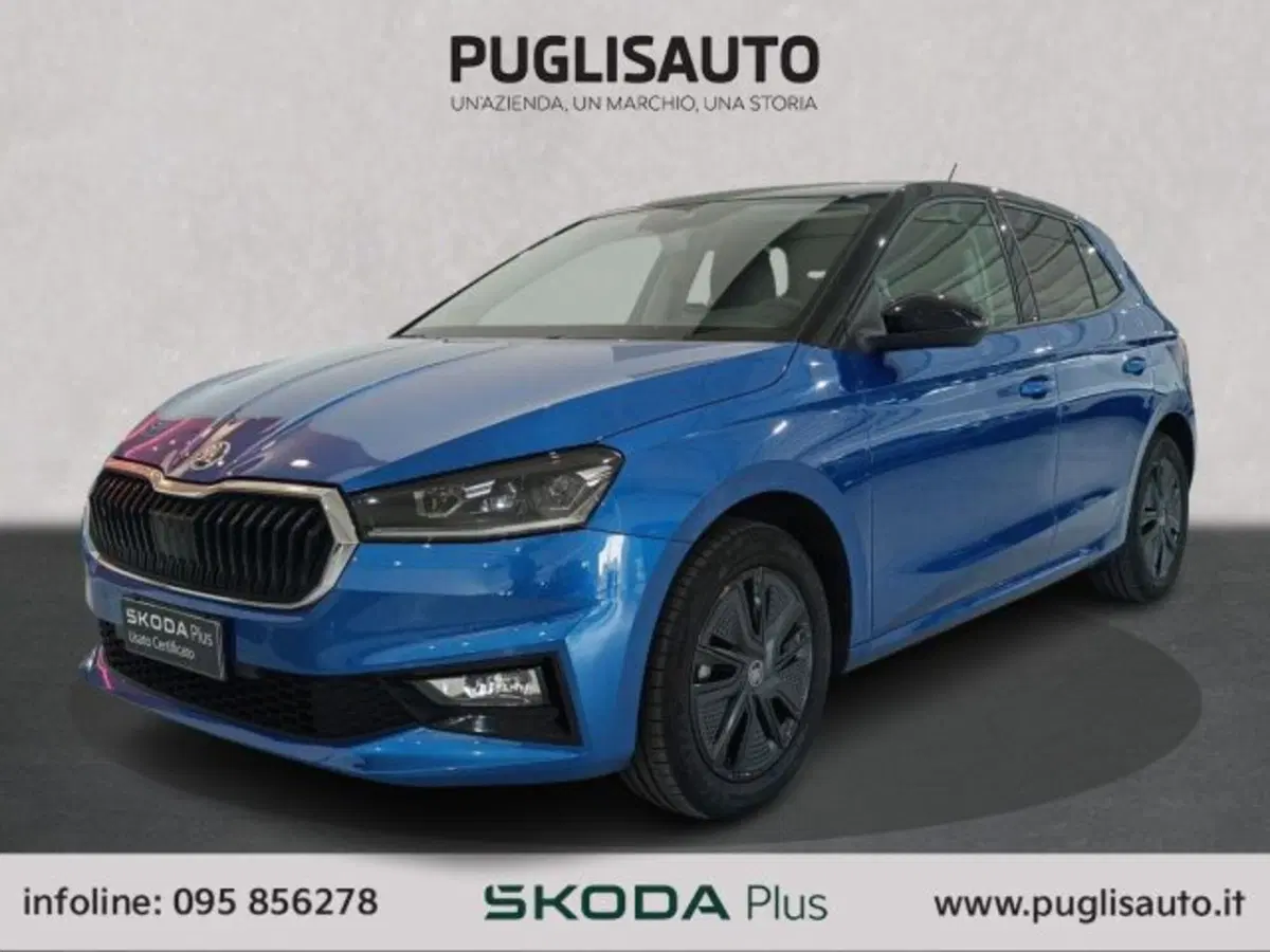 Skoda Fabia usata a Catania (3)