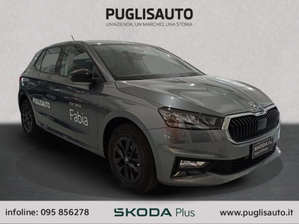 Skoda Fabia usata a Catania