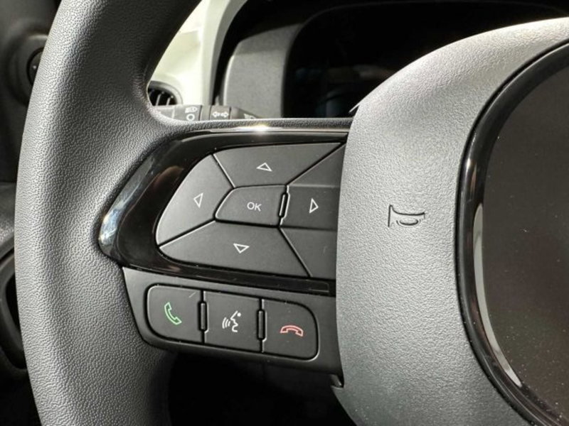 Fiat Panda nuova a Sondrio (20)