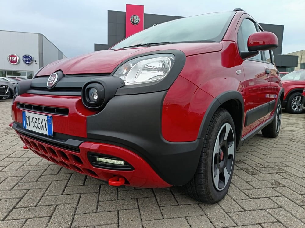 Fiat Panda Cross usata a Alessandria (10)