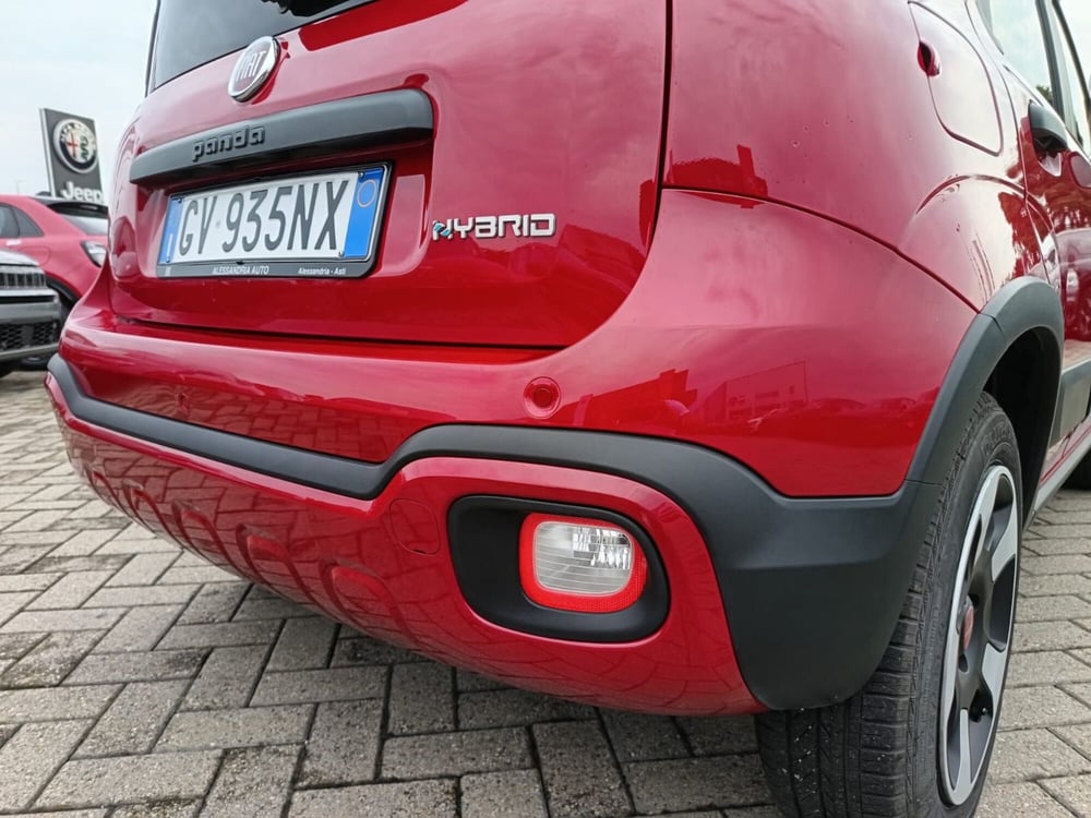 Fiat Panda Cross usata a Alessandria (12)