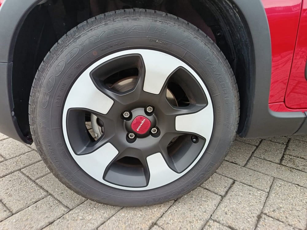 Fiat Panda Cross usata a Alessandria (14)