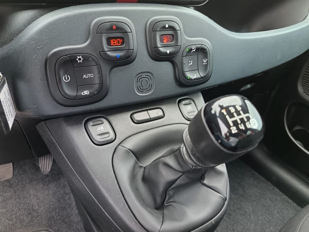 Fiat Panda Cross usata a Alessandria (20)
