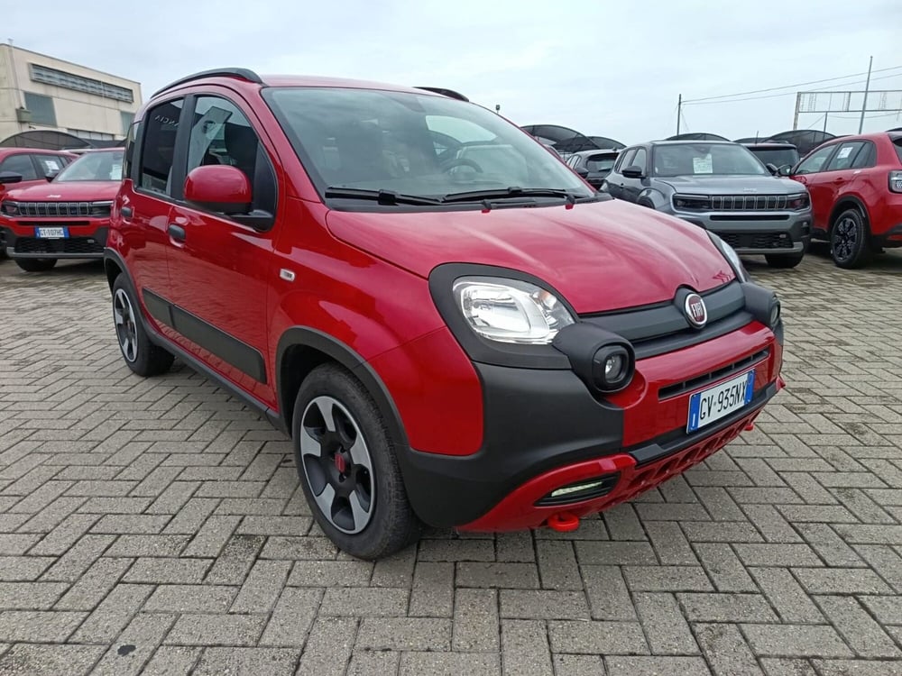 Fiat Panda Cross usata a Alessandria (3)