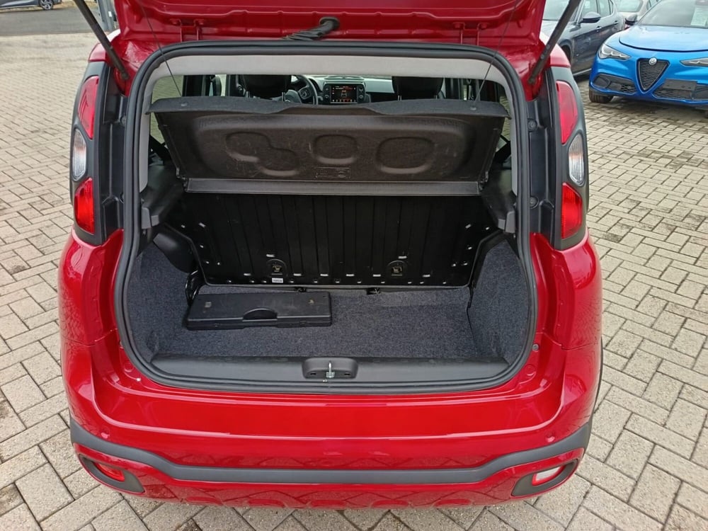 Fiat Panda Cross usata a Alessandria (7)