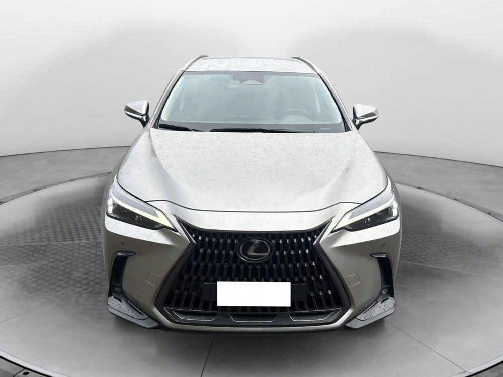 Lexus NX usata a Bologna (2)