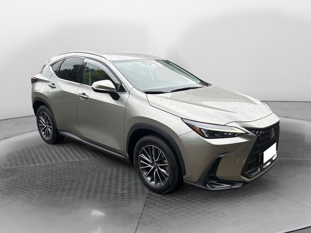 Lexus NX usata a Bologna (3)