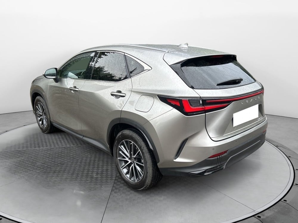 Lexus NX usata a Bologna (6)