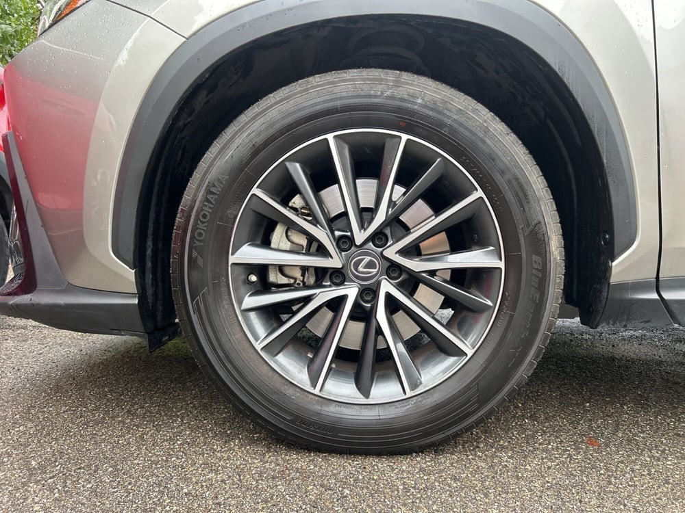 Lexus NX usata a Bologna (7)