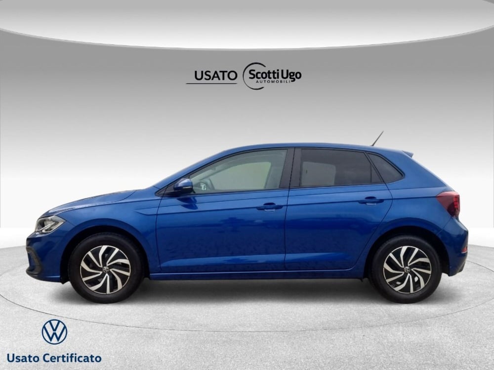 Volkswagen Polo usata a Livorno (3)