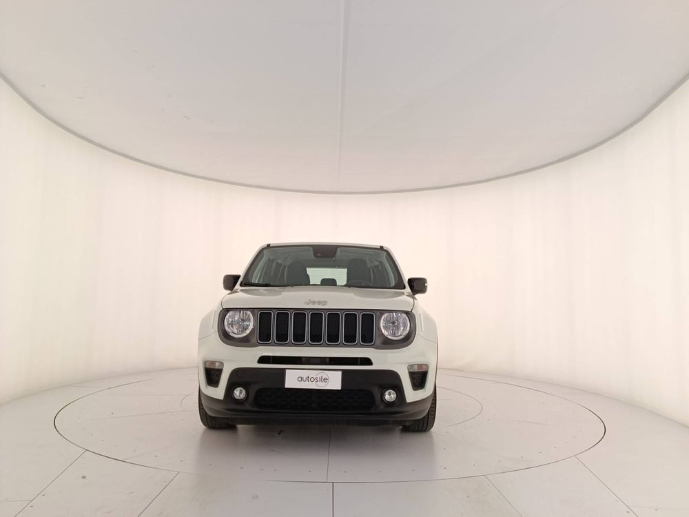 Jeep Renegade usata a Treviso (2)