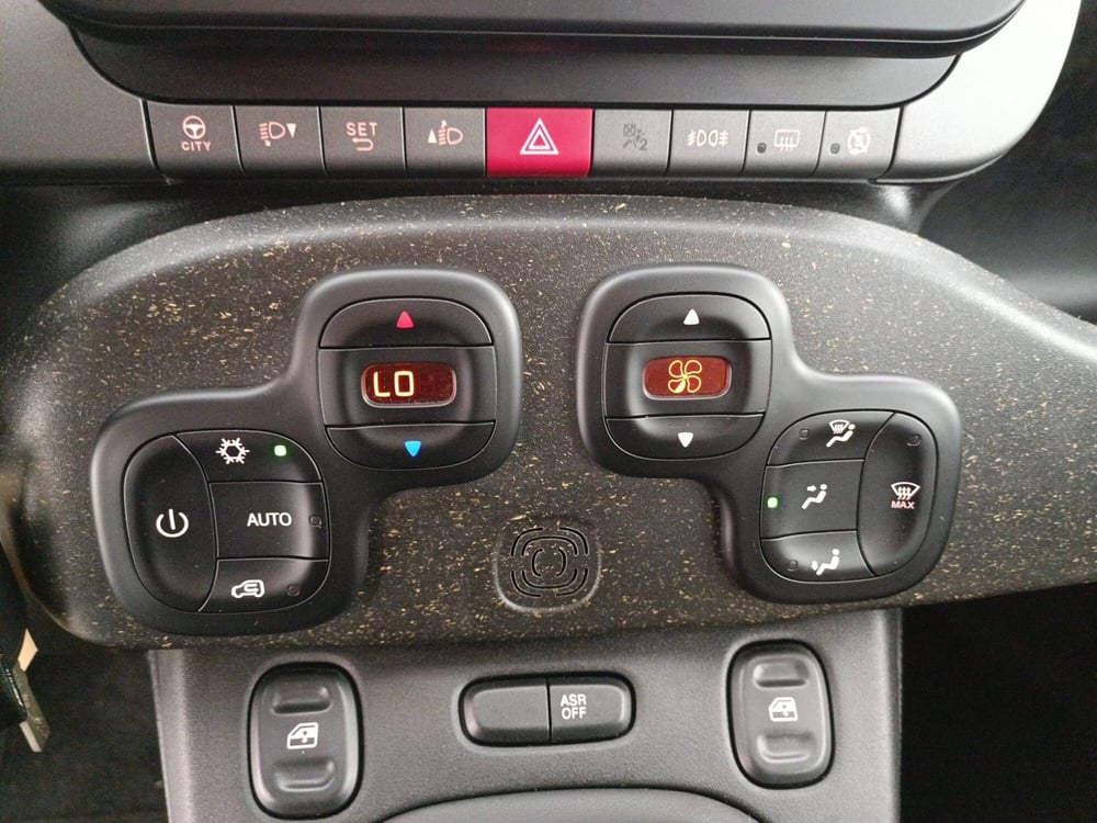 Fiat Panda Cross usata a Treviso (16)