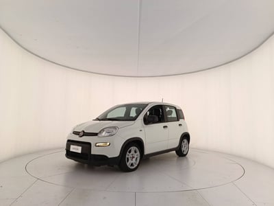 Fiat Panda Cross 1.0 firefly hybrid Cross s&amp;s 70cv 5p.ti del 2024 usata a Treviso