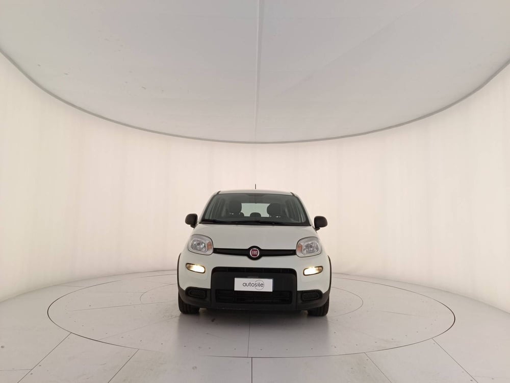 Fiat Panda Cross usata a Treviso (2)